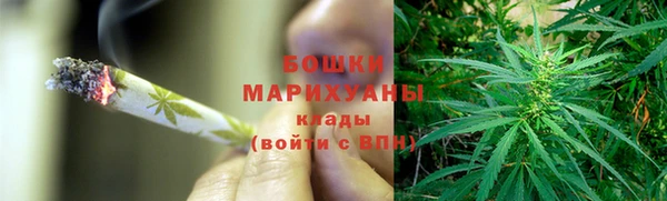 прущие грибы Михайловка