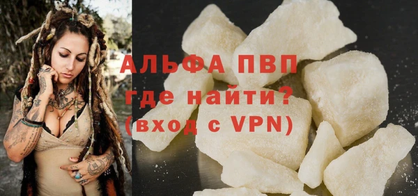 прущие грибы Михайловка